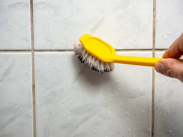 Mold Removal Process in Greenfield, TN